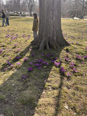 Treptower Park by null