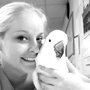 All Bird Clinic Of The Palm Beaches