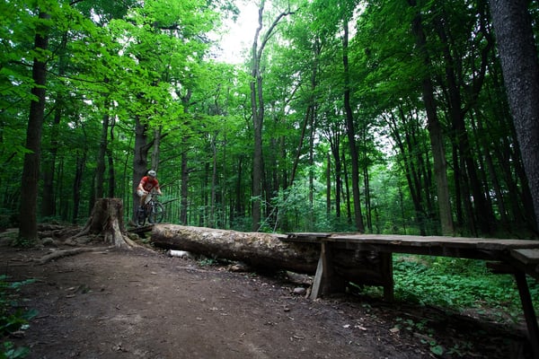 Kelso Conservation Area by null