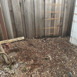 Back yard tree removed and grinded Back yard tree removed and grinded