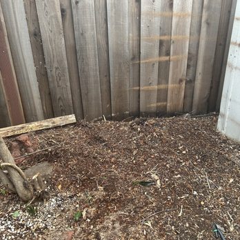 Golden Tree Company - Back yard tree removed and grinded - Tree Services Near Me - San Jose, California Golden Tree Company - Back yard tree removed and grinded - Tree Services Near Me - San Jose, California