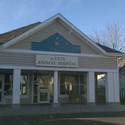 The Vets Animal Hospital