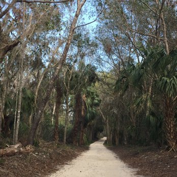 Bulow Plantation - Road to the state park - Parks Near Me - Flagler Beach, Florida Bulow Plantation - Road to the state park - Parks Near Me - Flagler Beach, Florida