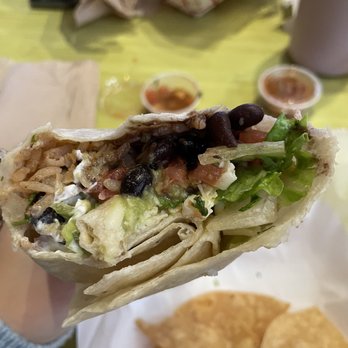 Green Cactus - Vegetable Burrito - Mexican Near Me - Stony Brook, New York Green Cactus - Vegetable Burrito - Mexican Near Me - Stony Brook, New York