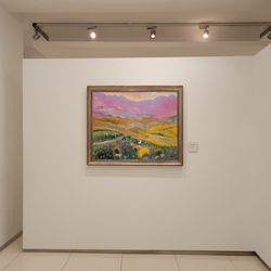 Museo Goya