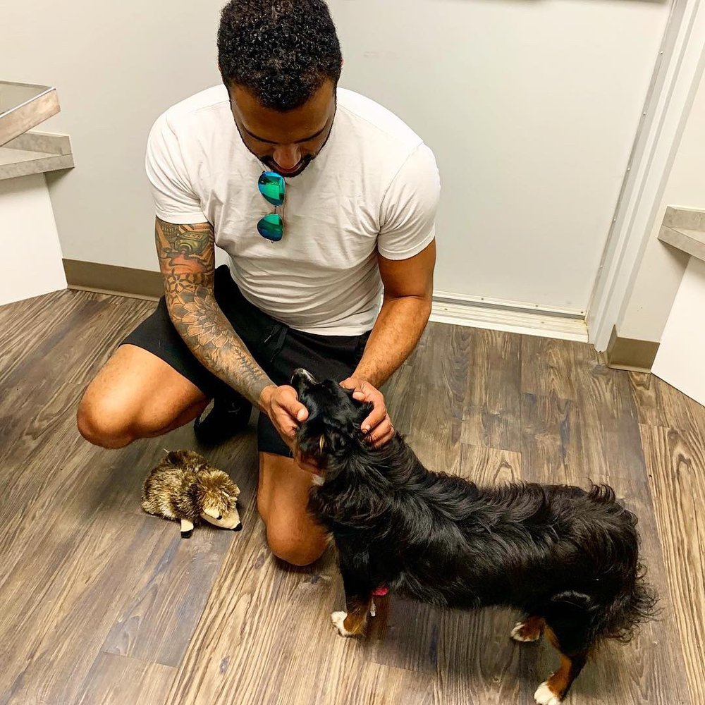 GREENVILLE ANIMAL HOSPITAL 13 Photos & 22 Reviews 2809 East I30