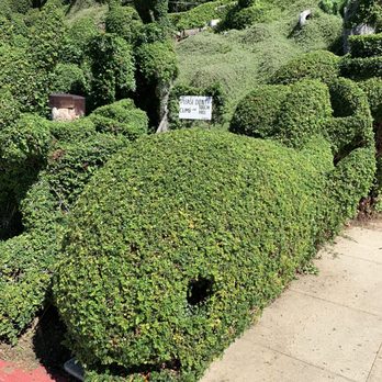Harper's Topiary Garden - Little whale - Botanical Gardens Near Me - San Diego, California Harper's Topiary Garden - Little whale - Botanical Gardens Near Me - San Diego, California
