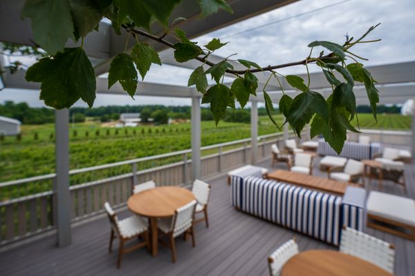 Ev&Em Vineyards by null