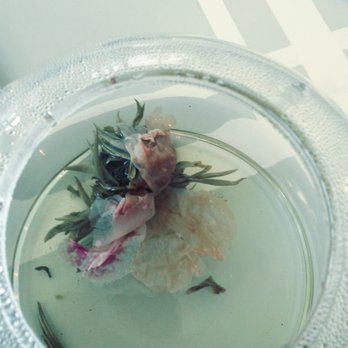 Dragonfly Tea Room - Blooming tea - Tea Rooms Near Me - Modesto, California Dragonfly Tea Room - Blooming tea - Tea Rooms Near Me - Modesto, California