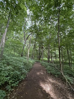 Effigy Mounds National Monument by null