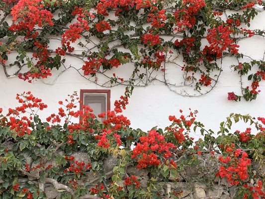 Masseria TORRE COCCARO by null