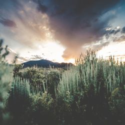 Red Lodge Reservations - Red Lodge Montana  Photo Credit: Claire Reitz Photography