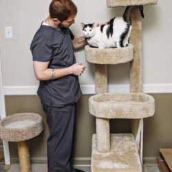 Ouachita Pet Clinic - We also offer boarding for our feline friends!