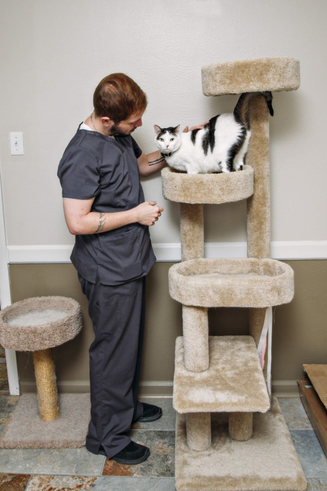 OUACHITA PET CLINIC Updated September 2024 30 Photos 4 Bancroft