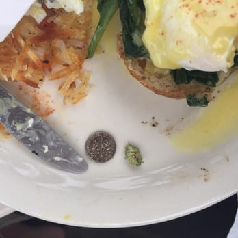 Cafe Elysa - During our meal at Cafe Elysa, we found a big green bug in the eggs florentine. We put a dime next to it for size comparison. - Coffee & Tea Near Me - Carlsbad, California