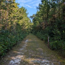Trail with trailmarker