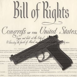 North Shore Firearms