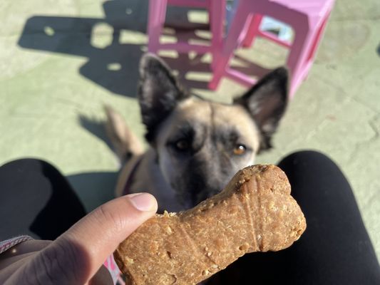 The Win~Dow Silver Lake by null The Win~Dow Silver Lake by null