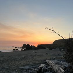 Lone Ranch Beach