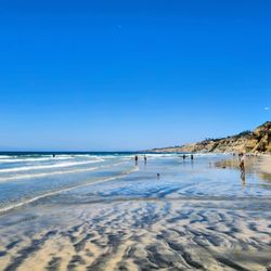 Scripps Coastal Reserve - Scripps Coastal Reserve