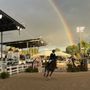 Photo of Devon Horse Show & Country Fair