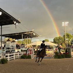 Devon Horse Show & Country Fair - Rainbow