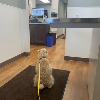 Weisner Innis & Schoen - Veterinarians Near Me - Grand Rapids, Michigan Weisner Innis & Schoen - Veterinarians Near Me - Grand Rapids, Michigan