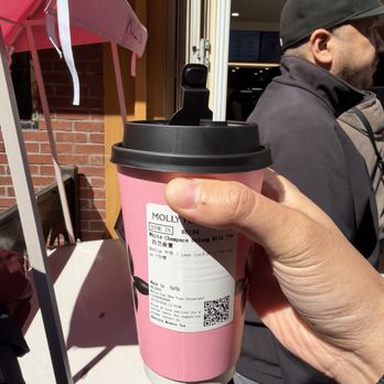 Molly Tea - Jasmine - Bubble Tea Near Me - New York, New York
