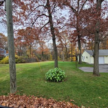 4 Seasons Property Maintenance - After fall clean up - Landscaping Near Me 4 Seasons Property Maintenance - After fall clean up - Landscaping Near Me