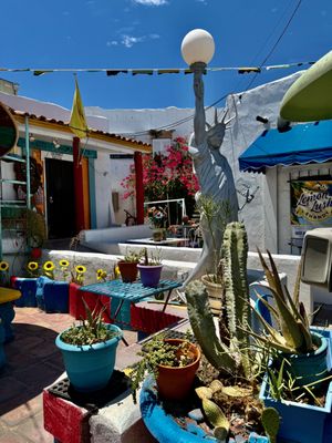 Los Dos Molinos by null
