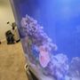 Photo of Instant Reef Aquarium Decorations