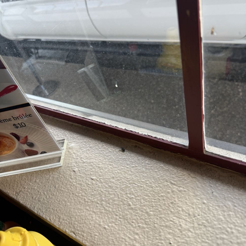 Viking Garden Restaurant - Dead flies on the windows. And fruit flies on the tables - American Near Me - Solvang, California Viking Garden Restaurant - Dead flies on the windows. And fruit flies on the tables - American Near Me - Solvang, California