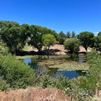 Coyote Trails Golf Course - Little pond - Golf Near Me - Cottonwood, Arizona