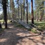 Photo of Blackfoot Pathways:Sculpture in the Wild