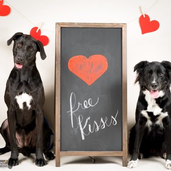 houston bark park maxie