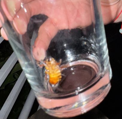 Mad Radio Miami by null