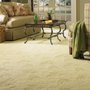 Photo of Socks Off Carpet Cleaning