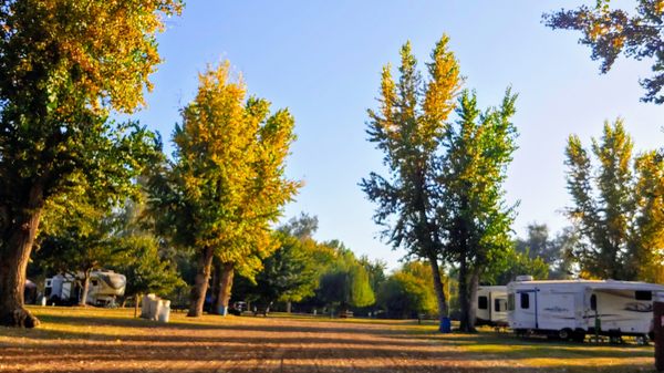 LINDY’S LANDING CAMPGROUND - Updated September 2025 - 62 Photos & 37 ...