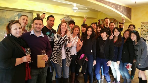 Napa Valley Wine Country Tours by null