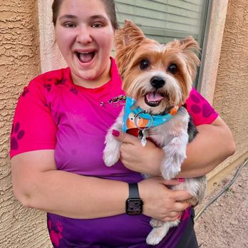 Fur Factory Pet Grooming - Pet Groomers Near Me Fur Factory Pet Grooming - Pet Groomers Near Me