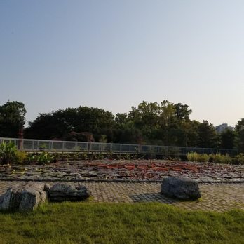 Garfield Park Conservatory - Parks Near Me - Chicago, Illinois
