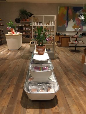 Anthropologie by null