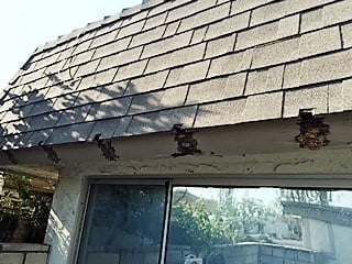 Slide of Joshua King Independent