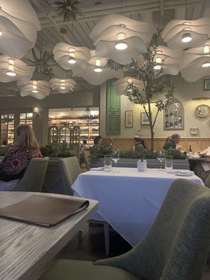 Succulent Fine Dining by null