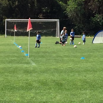 Soccer For Tots - Soccer field - Sports Clubs Near Me Soccer For Tots - Soccer field - Sports Clubs Near Me