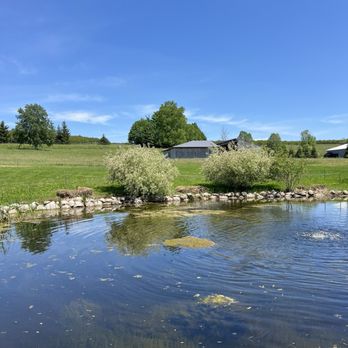 Dune Bird Winery - The lake scenery - Wineries Near Me - Northport, Michigan Dune Bird Winery - The lake scenery - Wineries Near Me - Northport, Michigan