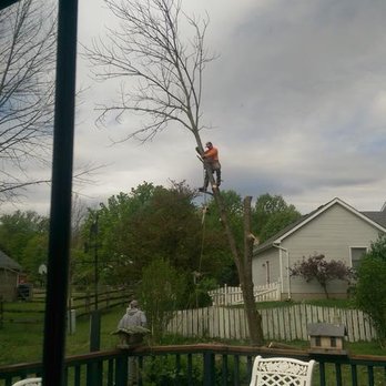 Hackney Tree Service - Tree Services Near Me - Bath, Indiana