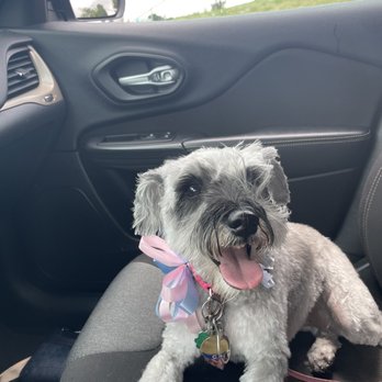 All Star Pet Grooming - Pet Groomers Near Me - St. Charles, Illinois All Star Pet Grooming - Pet Groomers Near Me - St. Charles, Illinois