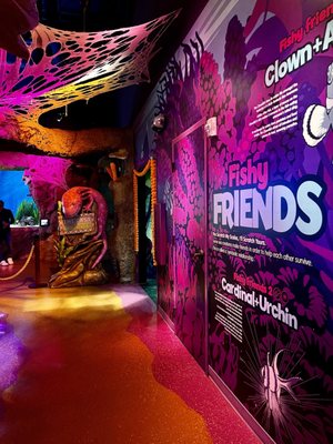 SEA LIFE Orlando Aquarium by null