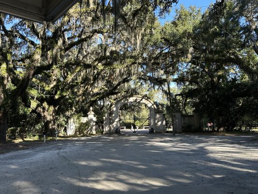 Wormsloe Historic Site by null